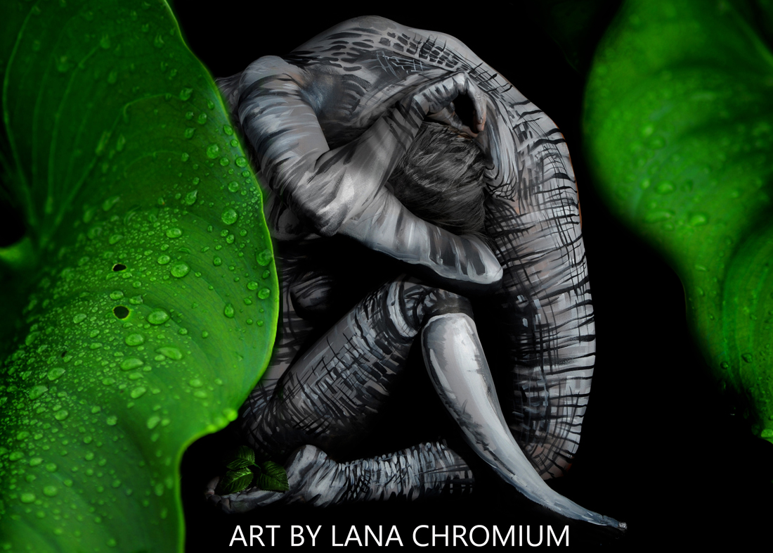 &quot;Elephant&quot; FINE ART PRINTS bodypainting &amp; photography by