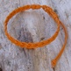S1031779_small
