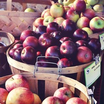 Apples_20small_medium