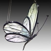 Large_20glass_20winged_20butterfly_medium