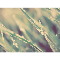 Baby_20it_s_20cold_20outside_2010x8-72_medium