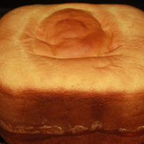 Gf_20sandwich_medium