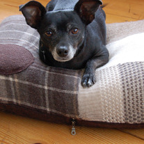 Dogbed_raisen_brown2_medium