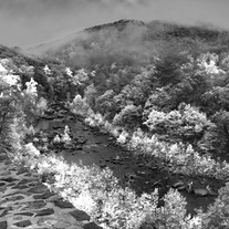 Goshen Print