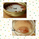 Listing-4_small