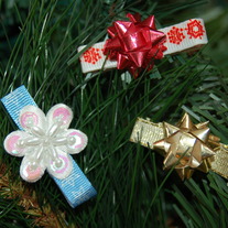 Dsc_1409_medium