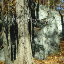 Shadows_1024_medium
