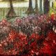 Dscf0232_small