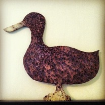 Duck_medium