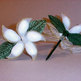 Jordan_almond_flower_2_small