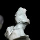 Dpp_0004_small