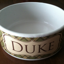 Dog_20bowl_medium