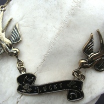 Swallow_205_medium