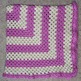 Copy_20(2)_20of_20rosetanbblanket2_small
