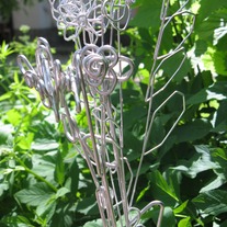 Wireflower1_medium