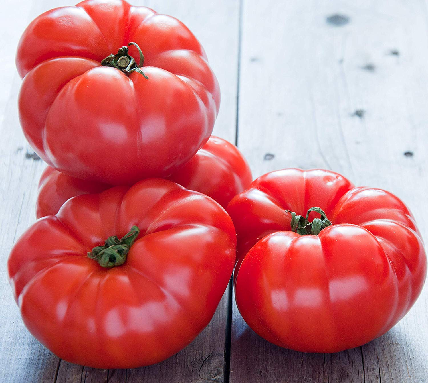 Silver Fir Tree Heirloom Tomato Premium Seed Packet ?? Sherwood's Seeds