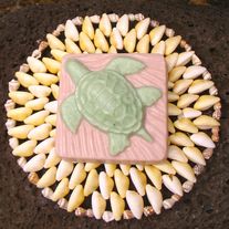 Warm Citrus Turtle Soap