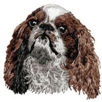 King_20charles_20spaniel_202_20head_medium