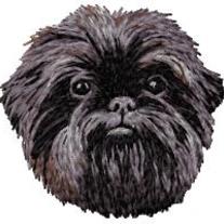 Affenpinscher_20head_medium