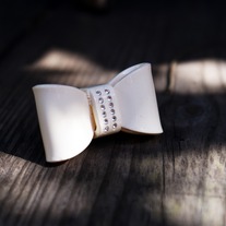 Dsc00931_medium