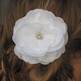 White_20comb_203_small