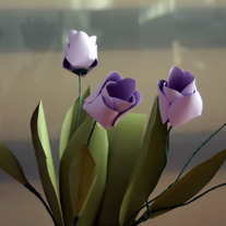 Pleasing_20plum_20tulips_202_medium