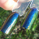 Dscn4803_small