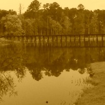 Photography Print 8x10 or 5x7