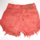 Coral2_small