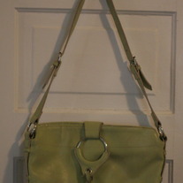 Green with Envy Purse