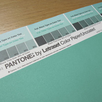 Vintage PANTONE® Poster - Pantone 808U