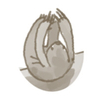 Sloth Drop