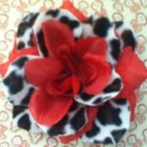Red Cheetah Rose