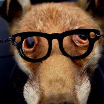 Black_glasses_2