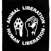 Animalhumanlibauf_2