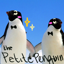 Adelie-penguin