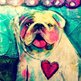 Bulldoglove