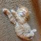 39.1_kitty