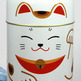 Teacan_catpic