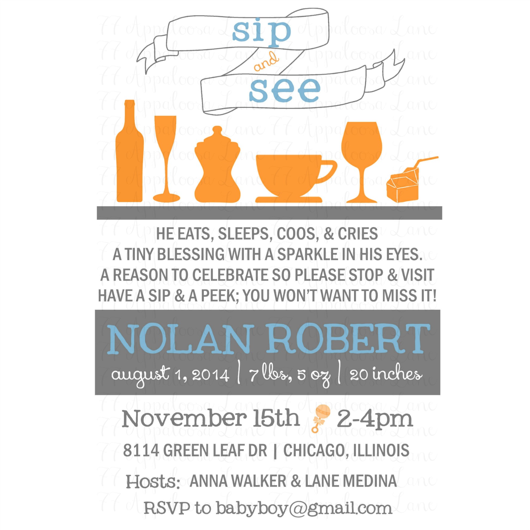 Cheers Sip And See Invitation 77 Appaloosa Lane Online Store