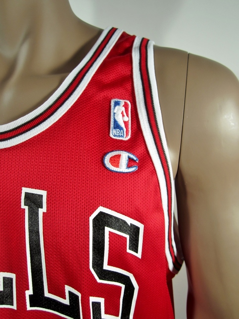 jordan bulls champion jersey