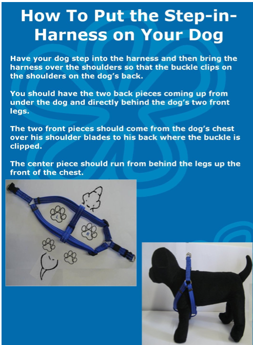 step in harness safest