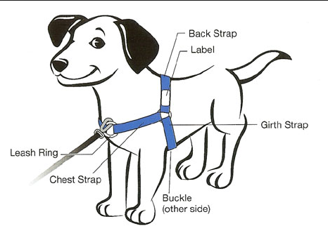 small dog chest harness