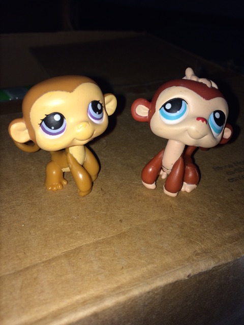 littlest pet shop 304