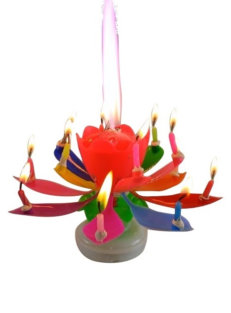 lotus birthday candle price
